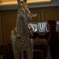 4D8A6537.jpg