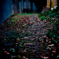 4D8A5850.jpg