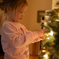 4D8A6124.jpg